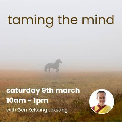 taming-the-mind